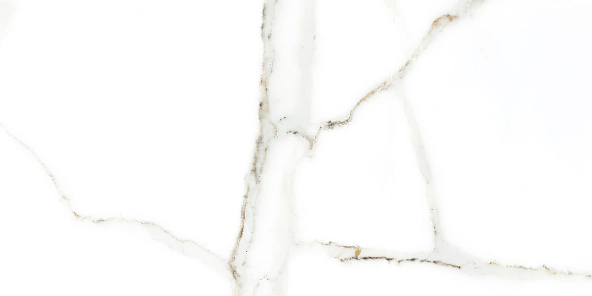 WALL TILE 25X50 DELPHI WHITE