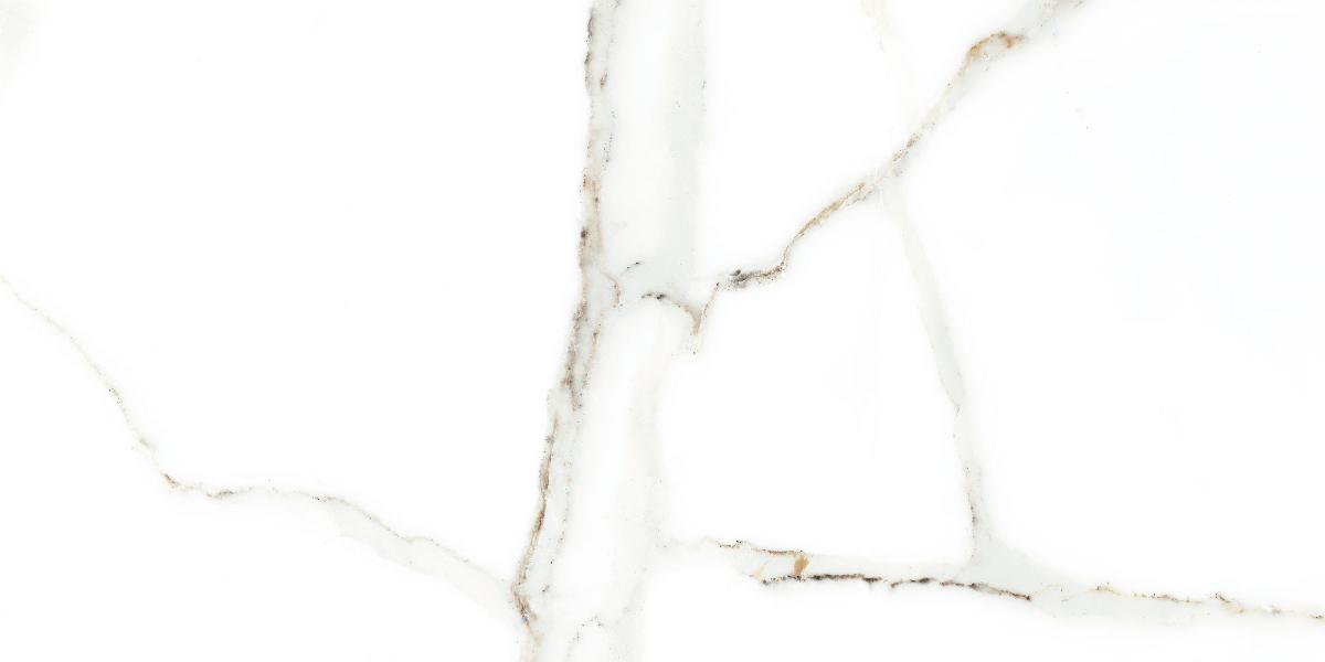 WALL TILE 25X50 DELPHI WHITE