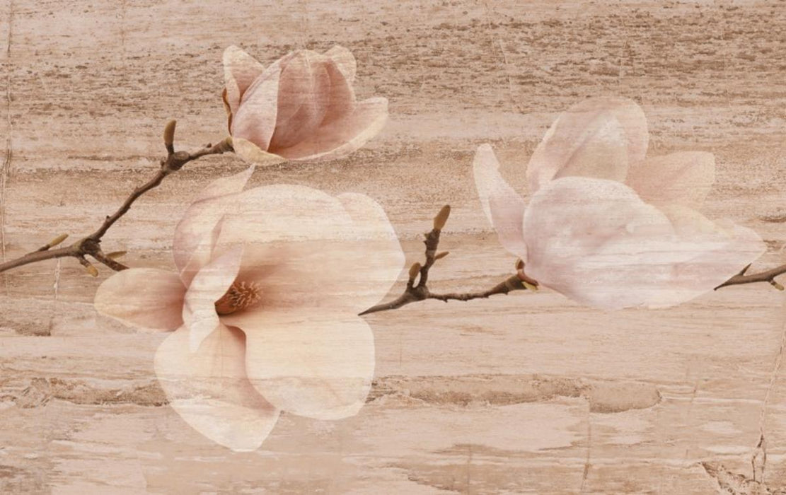 DECOR 25x40 PASTEL MAGNOLIA BEIGE