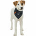 Handkerchief Trixie Dog Anchor - Домашни Животни<<<Дом Градина<<<BigBuy&&&Пътуване и разходки<<<Домашни Животни<<<Дом