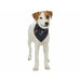 Handkerchief Trixie Dog Anchor - Домашни Животни<<<Дом Градина<<<BigBuy&&&Пътуване и разходки<<<Домашни Животни<<<Дом