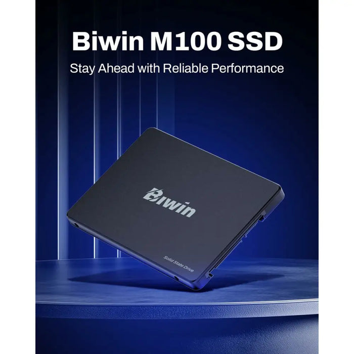 Hard Drive Biwin M100 1 TB SSD - Компютър Мрежи и компоненти<<<Компютри| Електроника<<<BigBuy&&&Твърди