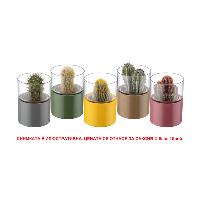 PLASTIC POT Ф8CM HD LANTANA