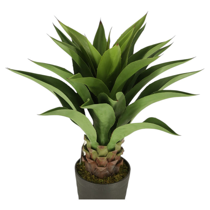 ARTIFICIAL AGAVE PLANT 82CM HD HD-10986