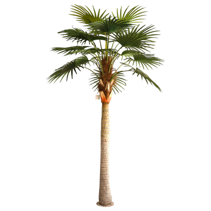 ARTIFICIAL PLANT LIVISTONE PALM 300CM HD HD-10970