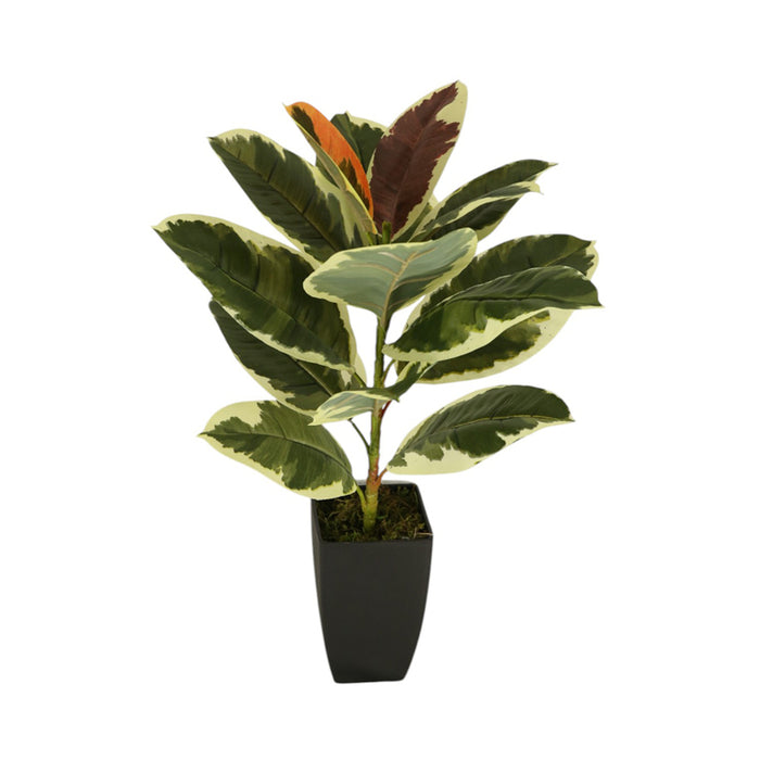 ARTIFICIAL PLANT AGLAONEMA 60CM HD HD-10976