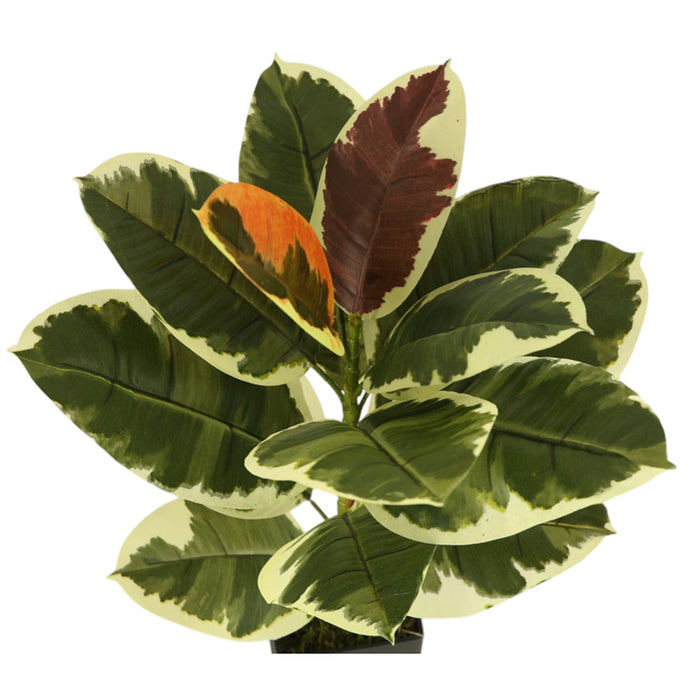 ARTIFICIAL PLANT AGLAONEMA 60CM HD HD-10976