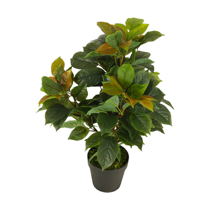 ARTIFICIAL FICUS PLANT 65CM HD HD-10982