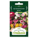 HELICHRYSUM SEEDS GARDEN - Семена<<<Семена луковици и разсад<<<Градина<<<Praktiker