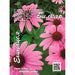 HERBALIST Echinacea Seeds - Семена<<<Семена луковици и разсад<<<Градина<<<Praktiker