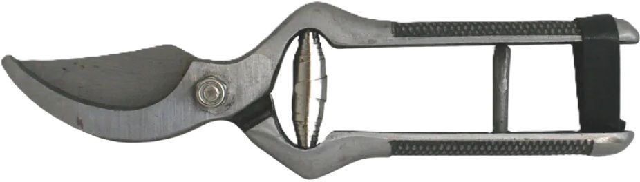 VINE SCISSORS PREMIUM