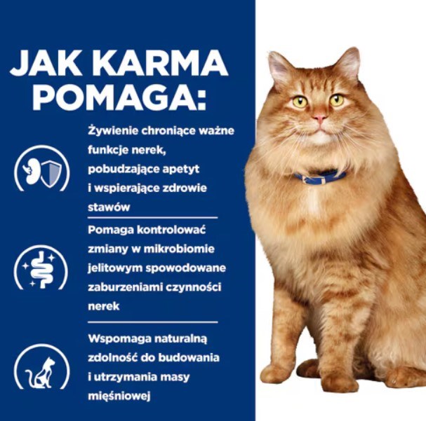 HILL'S PD K/D Kidney + Mobility Chicken - dry cat food - 3kg