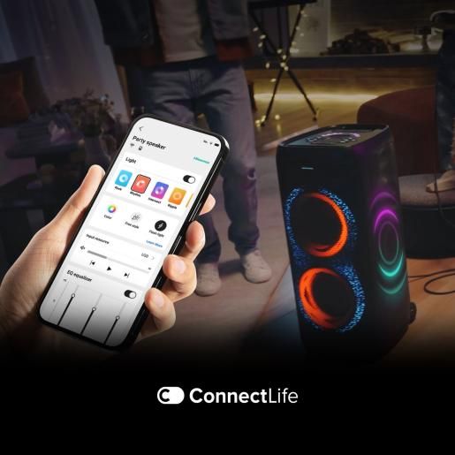 Hisense audio system - HP500 Party Thunder, black