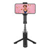 Gimbal Hohem iSteady Q