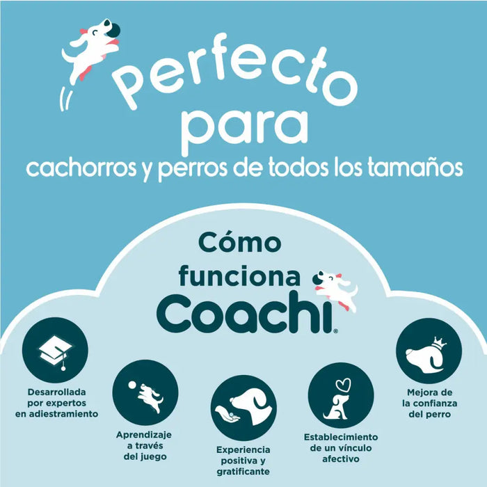 Holdall Coachi Train & Treat Blue Coral - Домашни Животни<<<Дом Градина<<<BigBuy&&&Купички за храна и вода<<<Домашни
