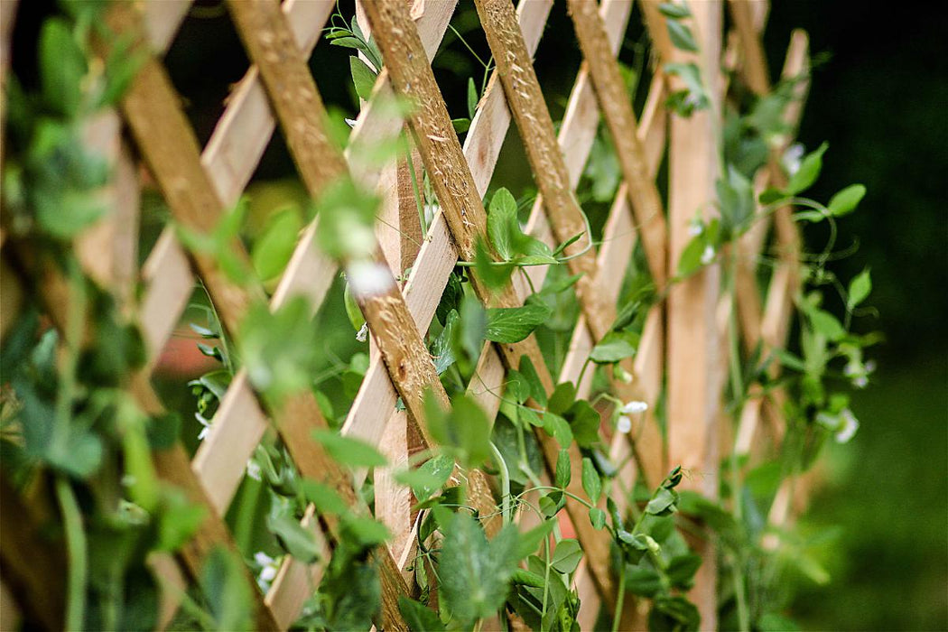 FENCE WOOD 100/200CM