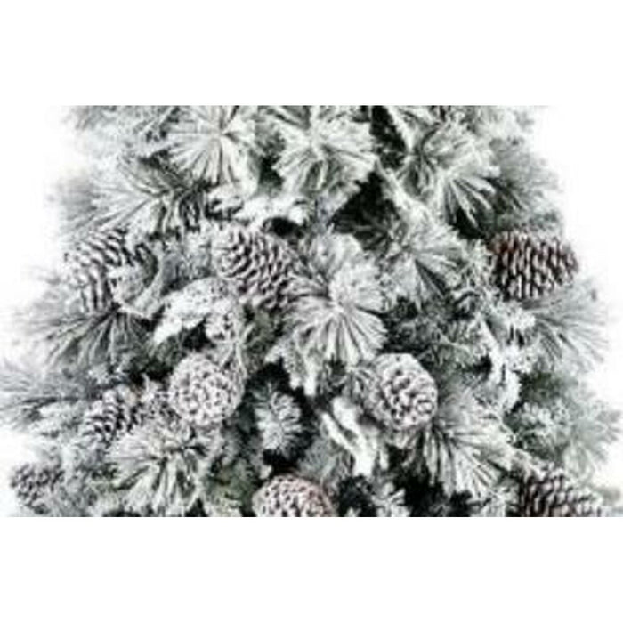 Christmas Tree Home ESPRIT White PVC Snowfall