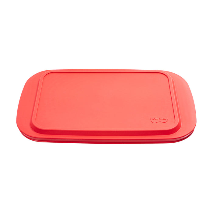 BAKING TRAY WITH SILICONE LID HORECANO