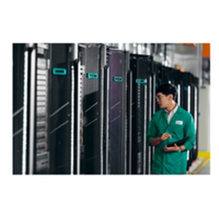 HPE NS204i-u Gen11 Ht Plg Boot Opt Dev