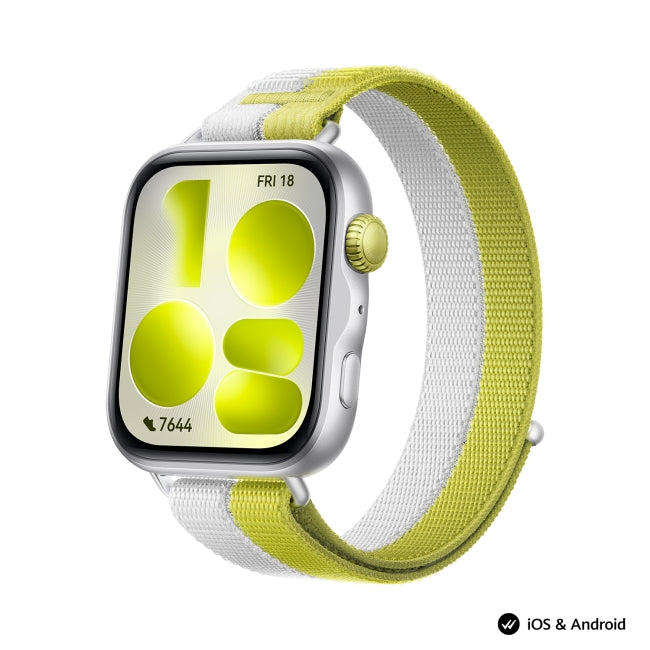 Watch Huawei Watch Fit 5 Niki-B19W Silver