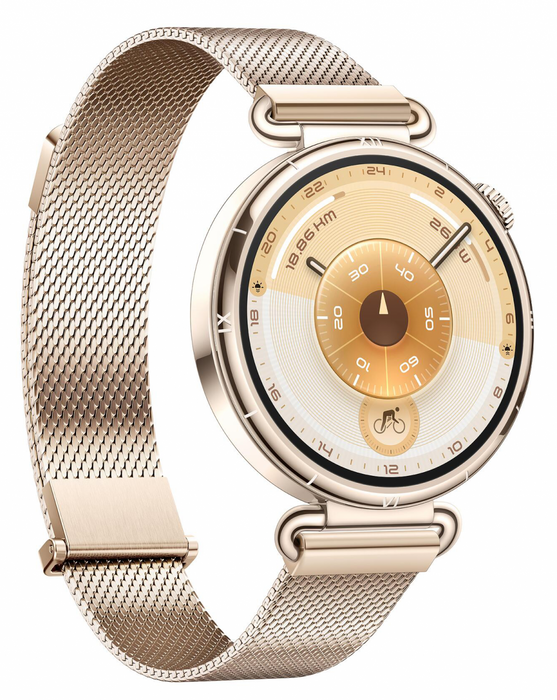 Smart watch Huawei Watch GT6, Konsu-B19M Millanese