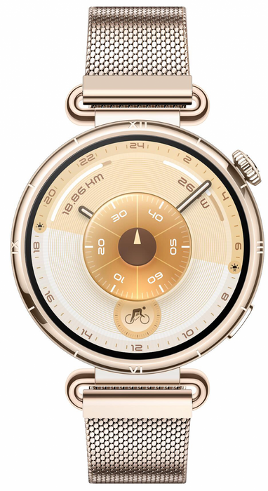 Smart watch Huawei Watch GT6, Konsu-B19M Millanese