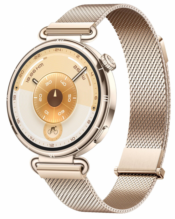 Smart watch Huawei Watch GT6, Konsu-B19M Millanese