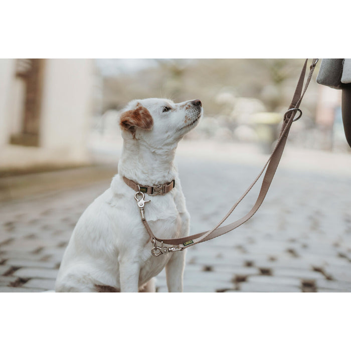 Dog Lead Hunter Inari Beige 200 cm