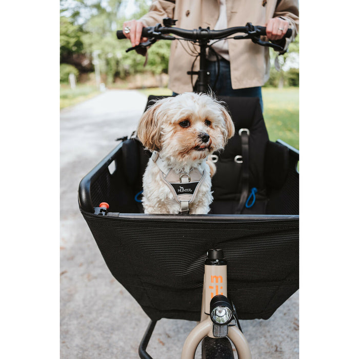 Dog Harness Hunter DIVO UP Beige S/M