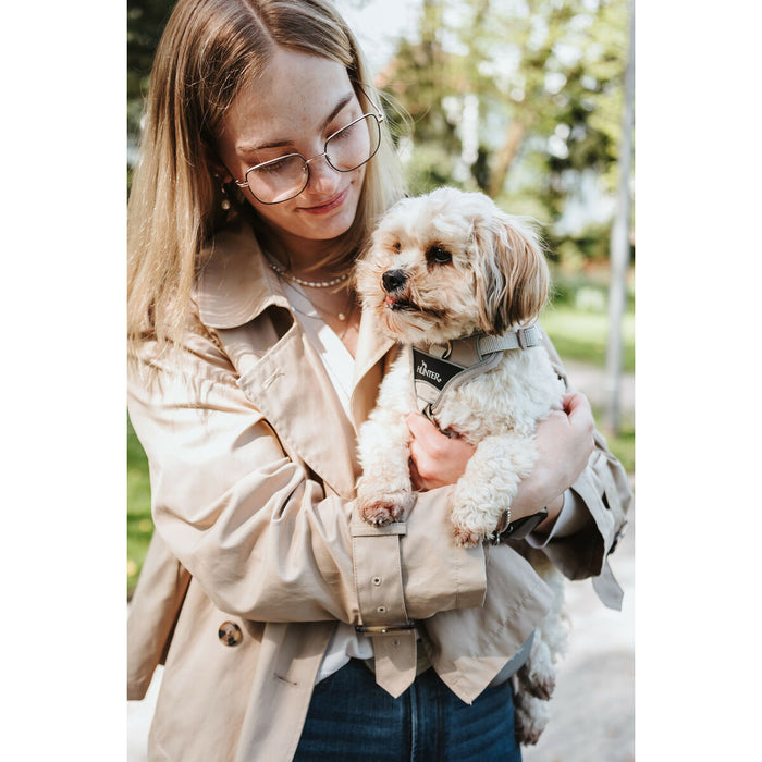 Dog Harness Hunter DIVO UP Beige M