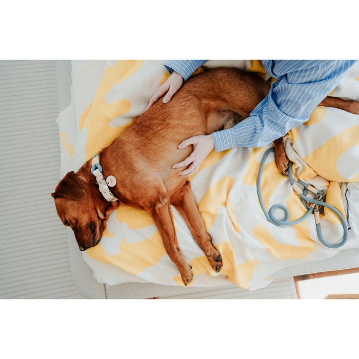 Dog collar Hunter Malia Blue M/L 45-54 cm