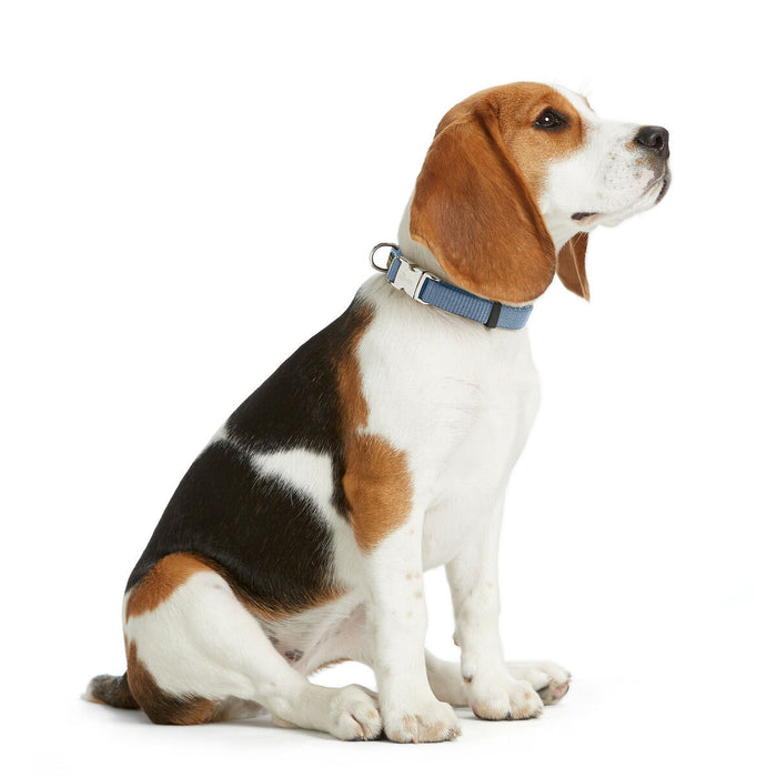 Dog collar Hunter VARIO BASIC Blue XL 45-65 cm