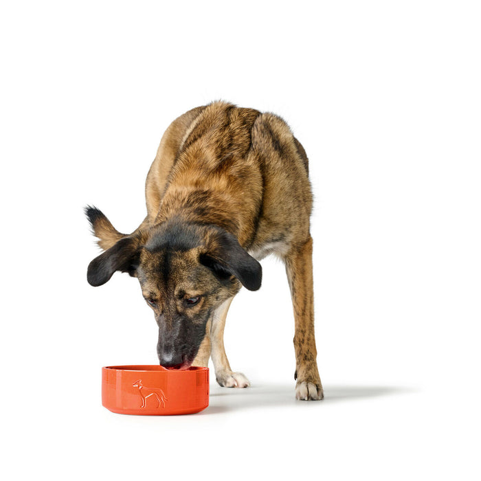 Dog Feeder Hunter OSBY Orange Ceramic 350 ml