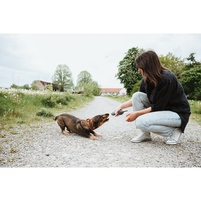 Dog toy Hunter NEBRASKA Grey Horse