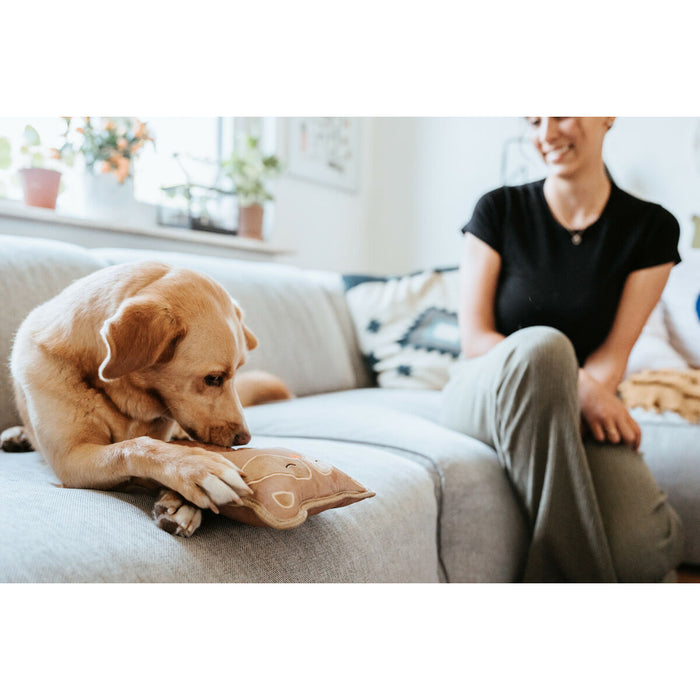 Dog toy Hunter Tough Tundra Beige Racoon