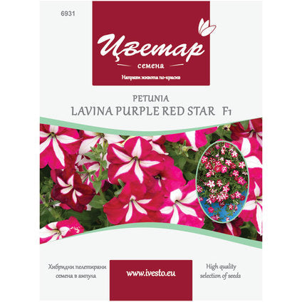 HYBRID PELLETTED SEEDS PETUNIA ALVINA PURPLE STAR FLORIST - Семена<<<Семена луковици и разсад<<<Градина<<<Praktiker