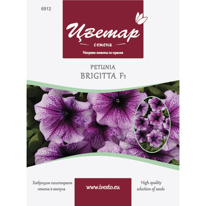 HYBRID PELLETTED SEEDS PETUNIA BRIGITA MULTICOLOR FLORIST - Семена<<<Семена луковици и разсад<<<Градина<<<Praktiker