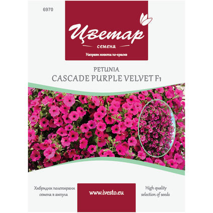 HYBRID PELLETTED SEEDS PETUNIA CASCADE PURPLE VELVET FLOWER - Семена<<<Семена луковици и разсад<<<Градина<<<Praktiker