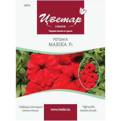HYBRID PELLETTED SEEDS PETUNIA MULTICOLOR MARIKA FLORIST - Семена<<<Семена луковици и разсад<<<Градина<<<Praktiker