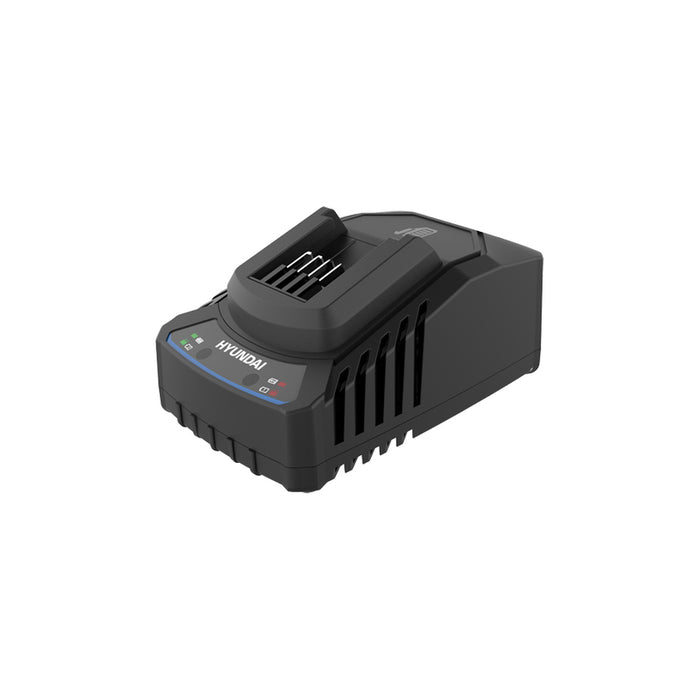 CHARGER 20 V HYUNDAI C20-2