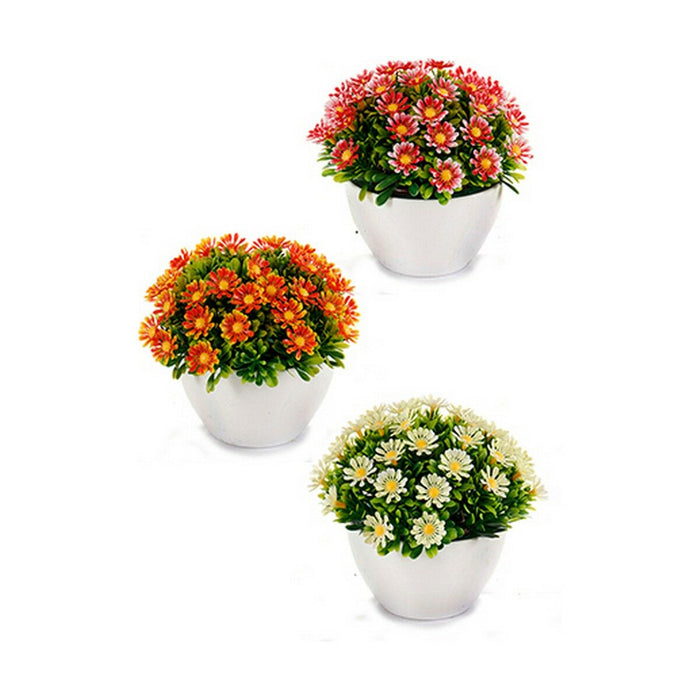 Decorative Plant Ibergarden Plastic Marguerite 14 x 13 x 14 cm (12 Units)