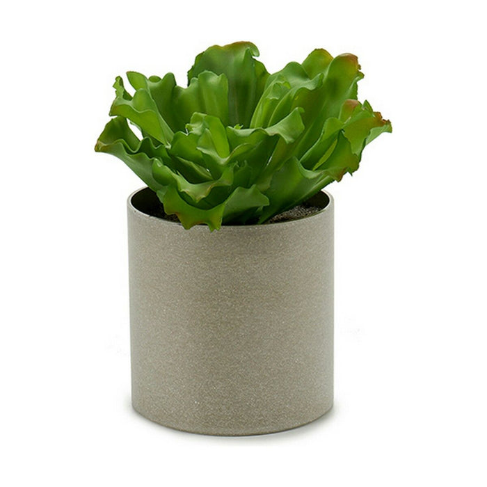 Decorative Plant Ibergarden 20 x 25 x 20 cm (6 Units)