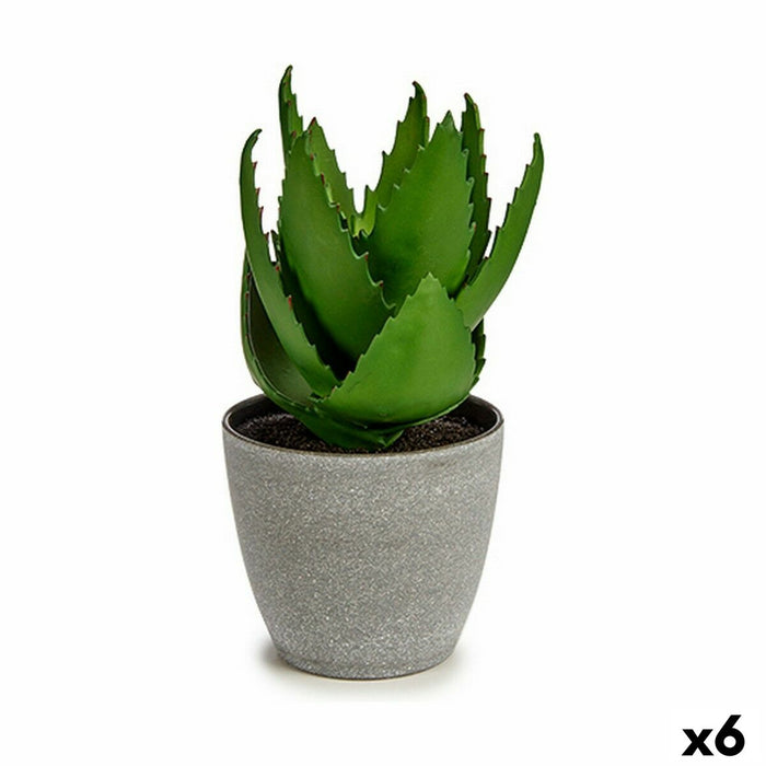 Decorative Plant Ibergarden Plastic Aloe Vera 15 x 23,5 x 15 cm (6 Units)