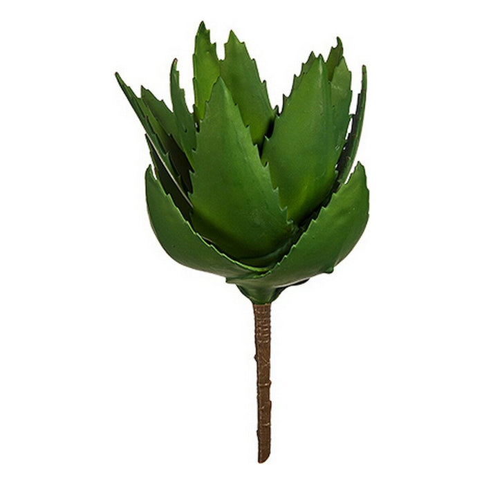 Decorative Plant Ibergarden Plastic Aloe Vera 13 x 24,5 x 14 cm (6 Units)