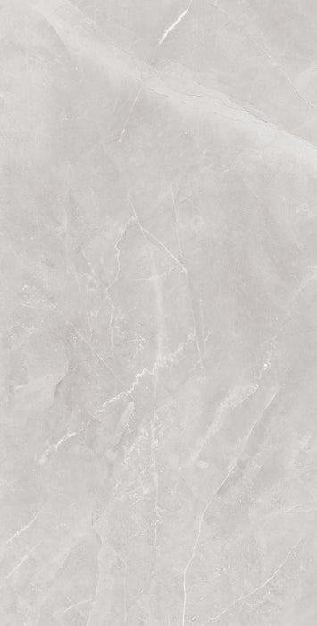 GRANITOGRES 60X120 ELEGANT SILVER
