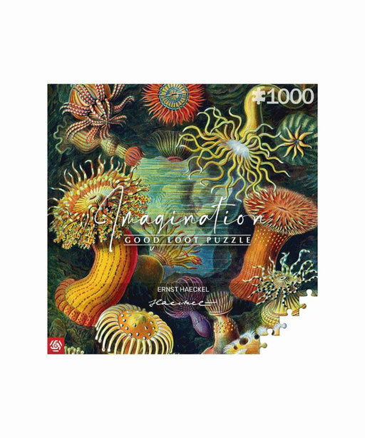 Imagination Puzzle: Ernst Haeckel Sea Creatures 1000 elements - TraditionalPUZ-TRA<<<(Games and Toys)