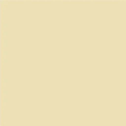 INTERIOR PAINT WITH SILICONE TROPICAL MANGO 2.5 L AQUIS - Цветни интериорни бои<<<Интериорни бои<<<Подови и стенни