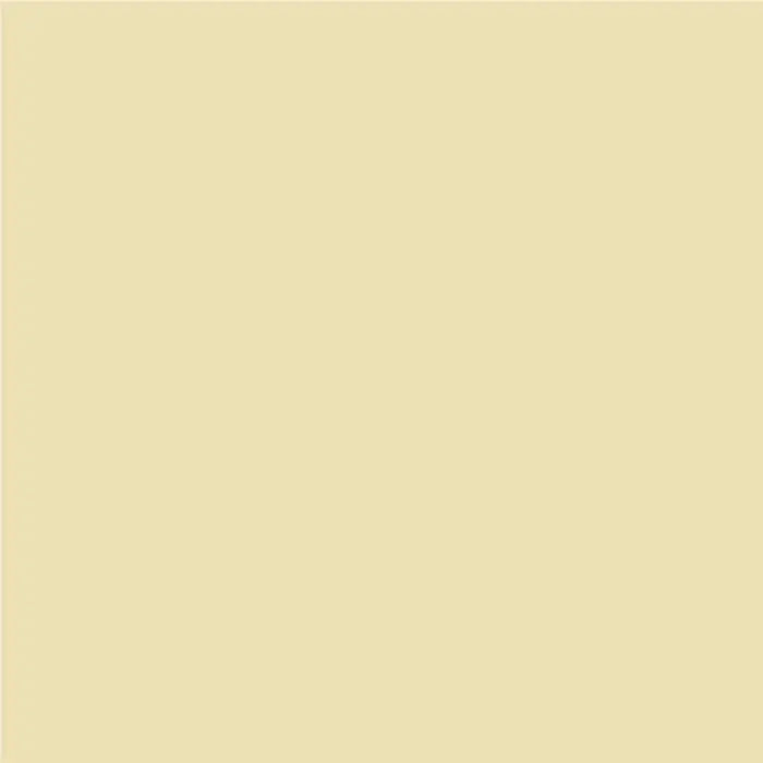INTERIOR PAINT WITH SILICONE TROPICAL MANGO 2.5 L AQUIS - Цветни интериорни бои<<<Интериорни бои<<<Подови и стенни