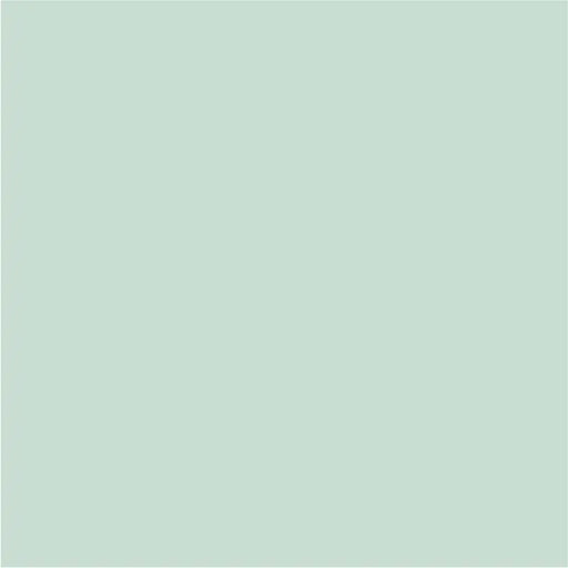 INTERIOR PAINT WITH SILICONE WEEPING WILLOW 2.5 L AQUIS - Цветни интериорни бои<<<Интериорни бои<<<Подови и стенни