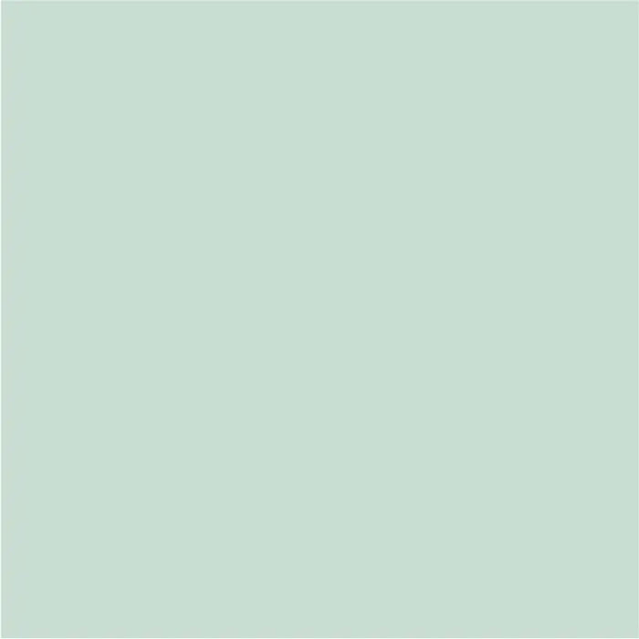 INTERIOR PAINT WITH SILICONE WEEPING WILLOW 2.5 L AQUIS - Цветни интериорни бои<<<Интериорни бои<<<Подови и стенни